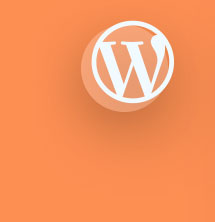 WordPress Development