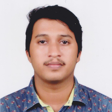 Wordpress Developer